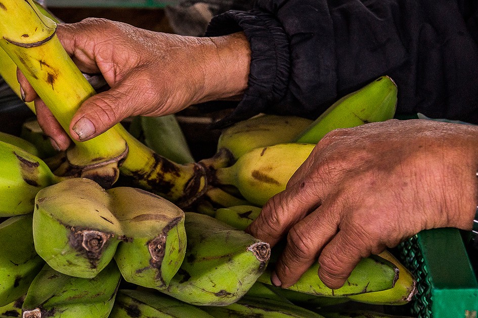 Los aprendizajes de inclusión laboral en Colombia a través del bono de impacto social